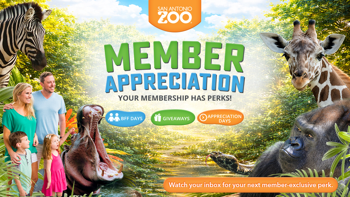 San Antonio Zoo | San Antonio Zoo