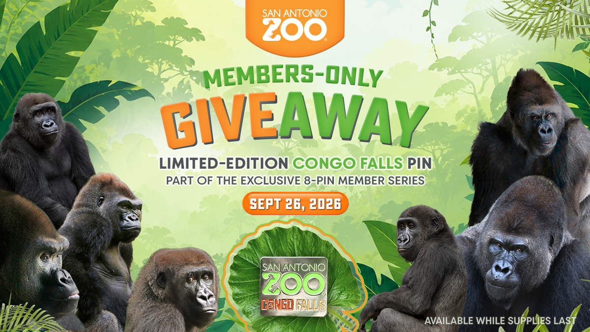 San Antonio Zoo | San Antonio Zoo