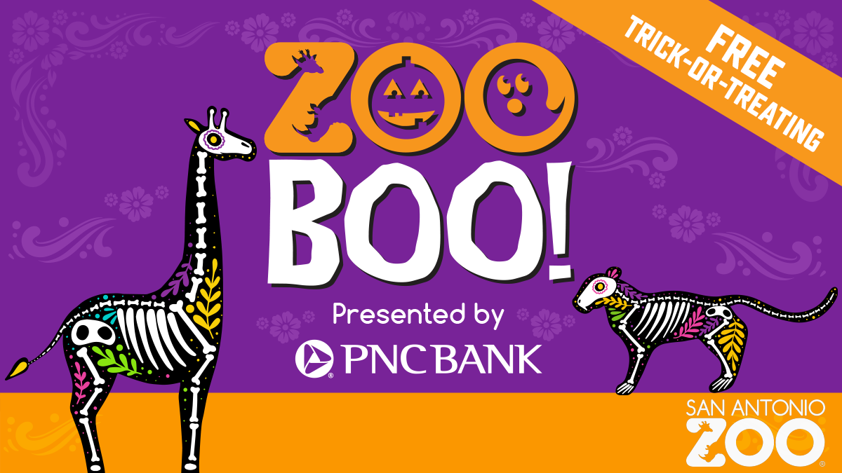 zoo boo