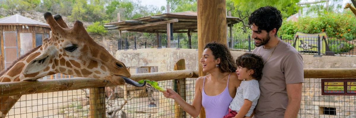 Animal Encounters | San Antonio Zoo