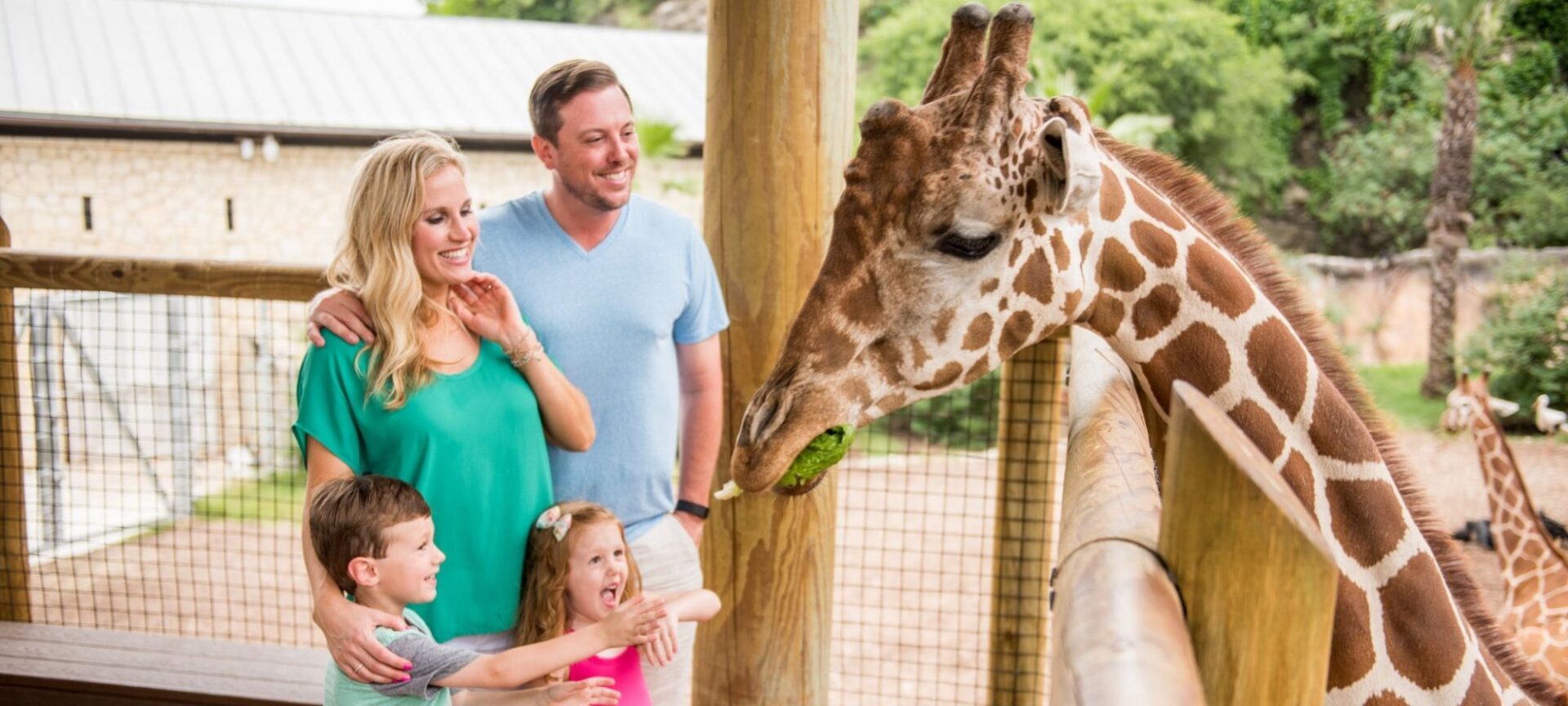 family feeding giraffe