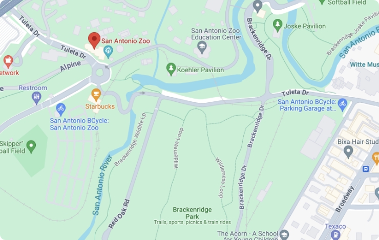 An image of San Antonio Zoo's location on Google Maps