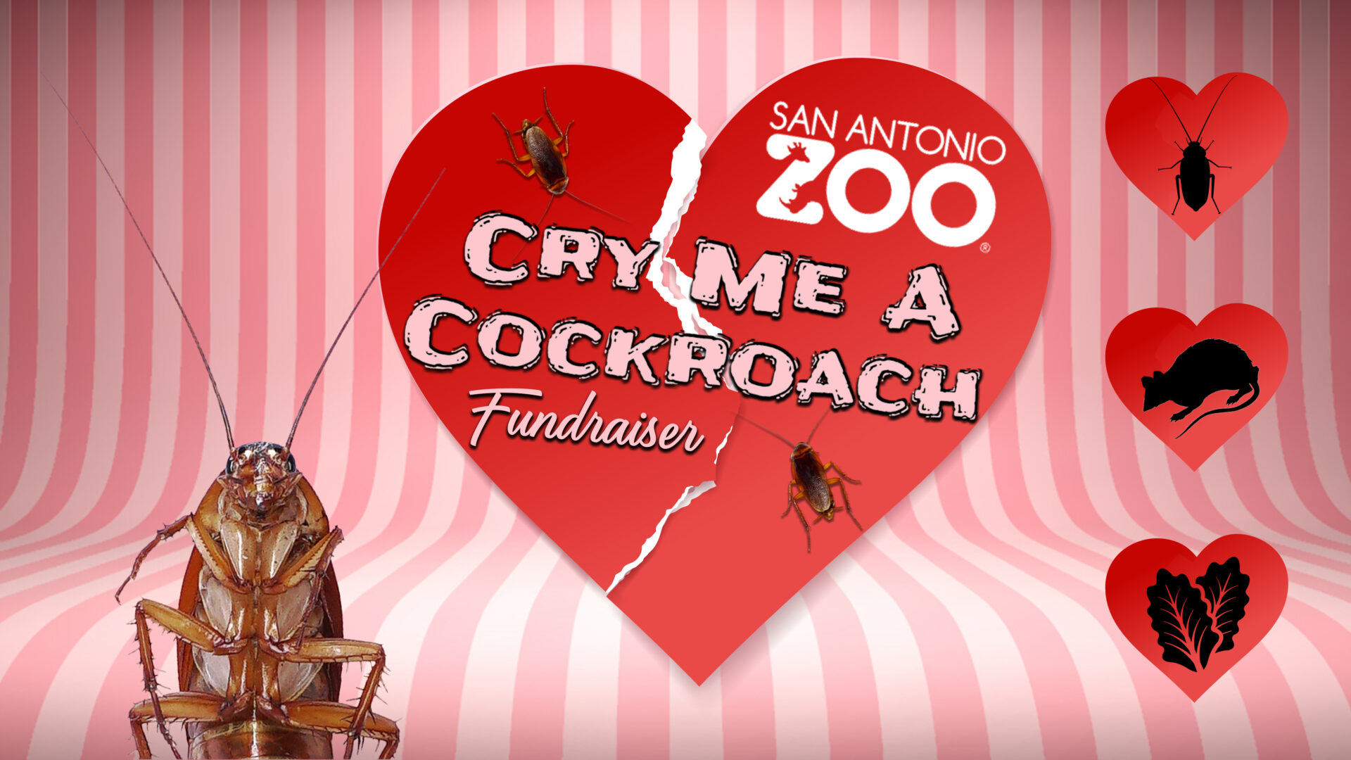 cry me a cockroach fundraiser banner