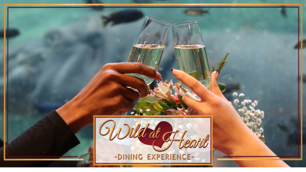 wild at heart dining experience