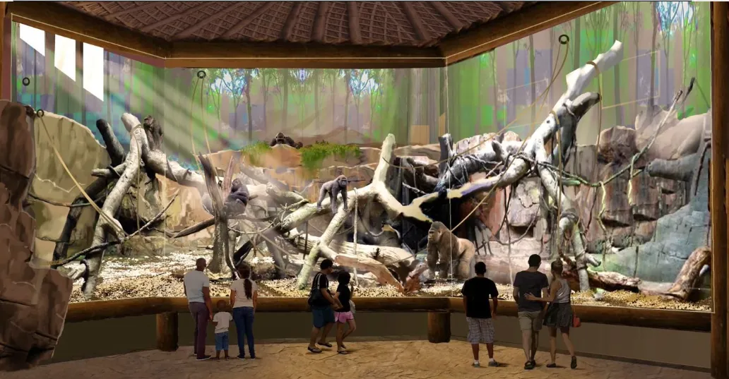 indoor view of the gorillas at san antonio zoo