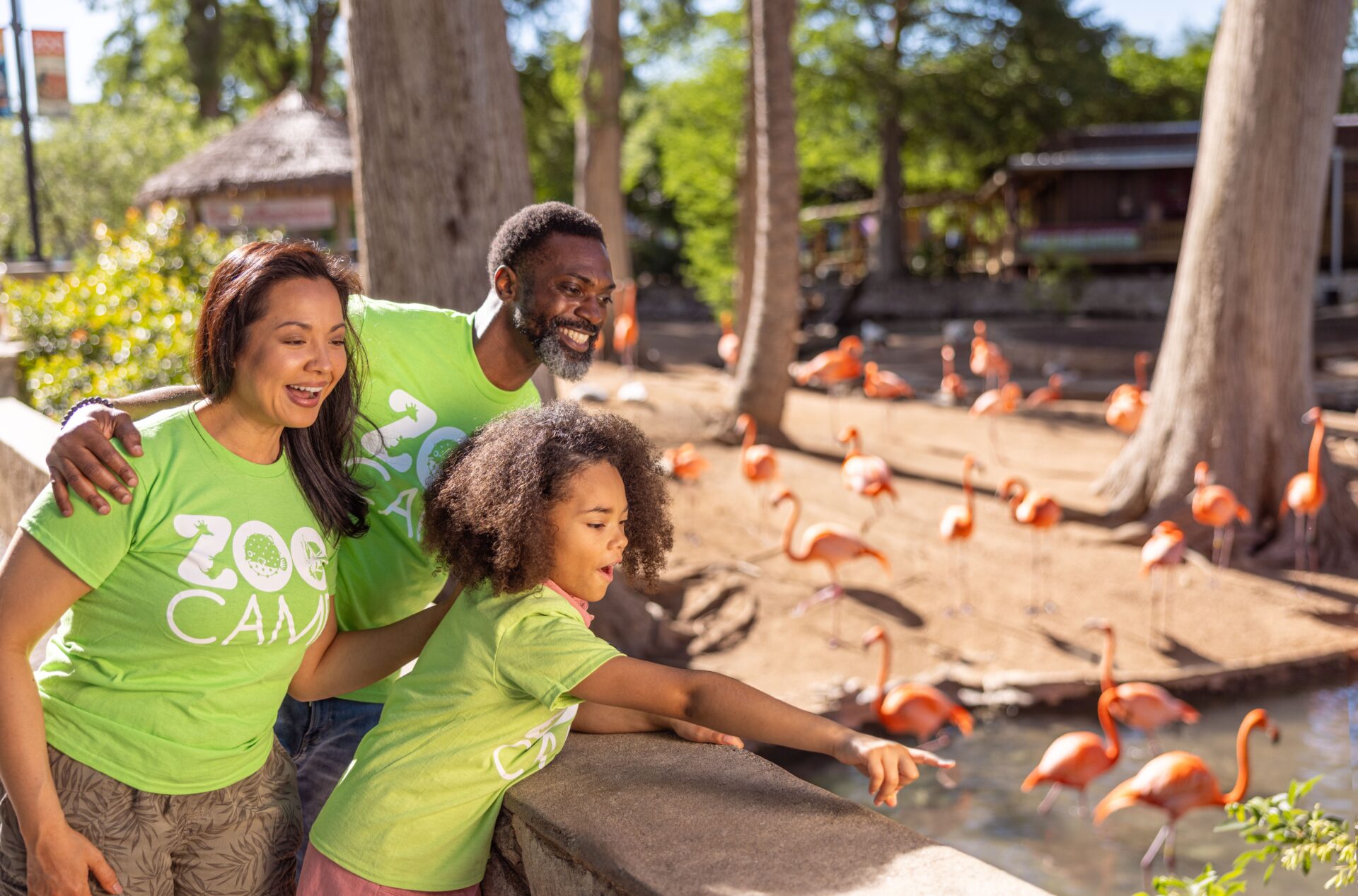 5 Reasons Why San Antonio Zoo Is the Ultimate Back-to-School Field Trip