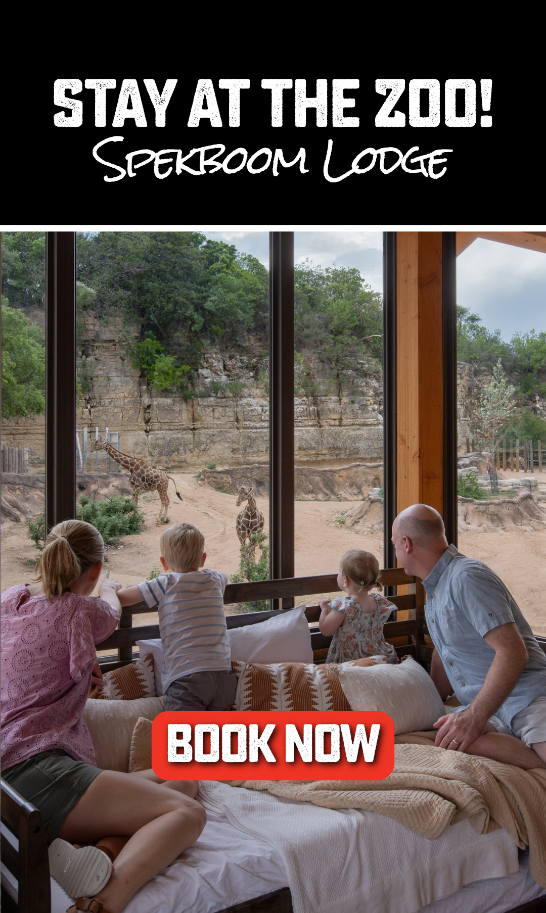 a family watching animals