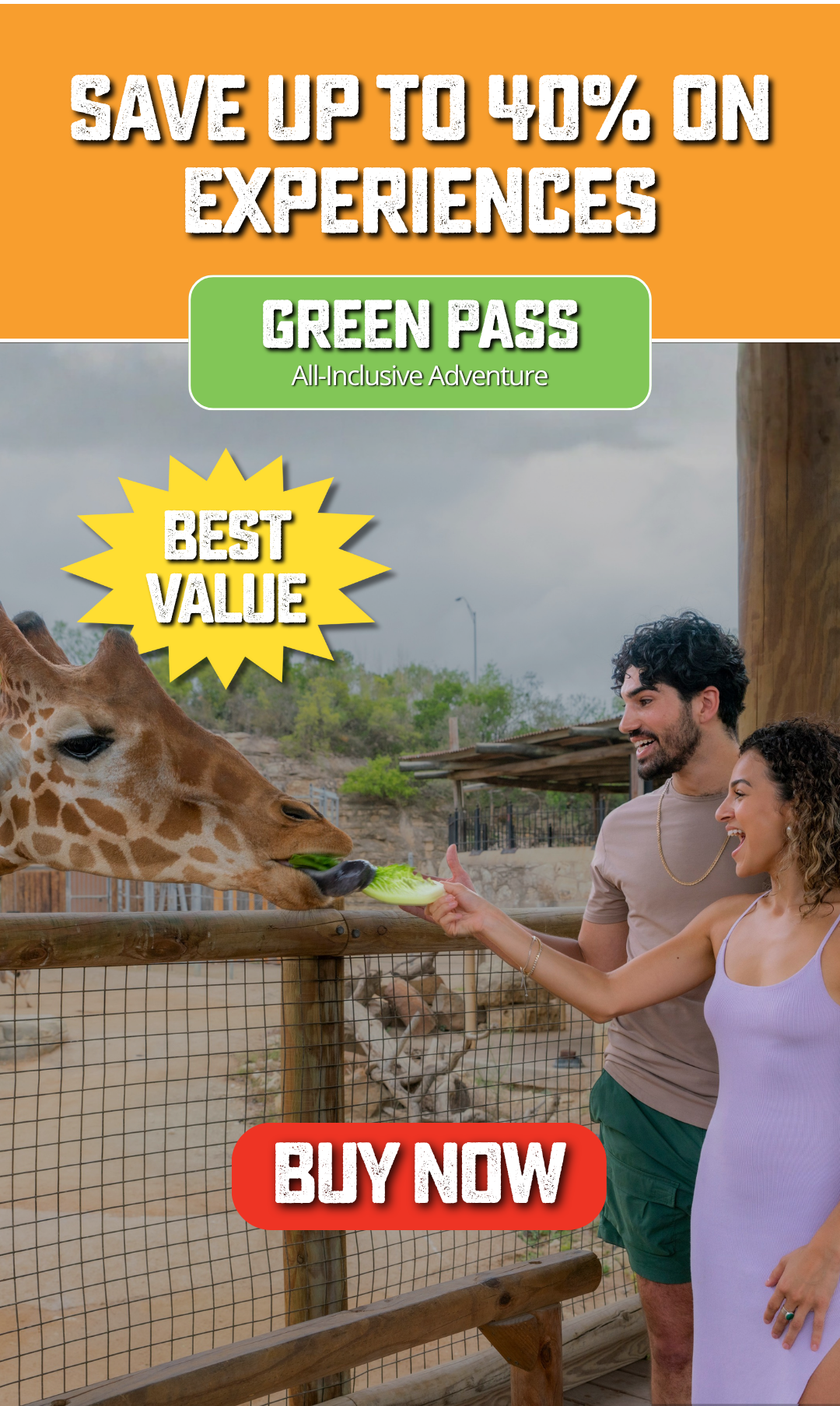 Couple feeding giraffe at San Antonio Zoo; save up to 40% on experiences with Green Pass