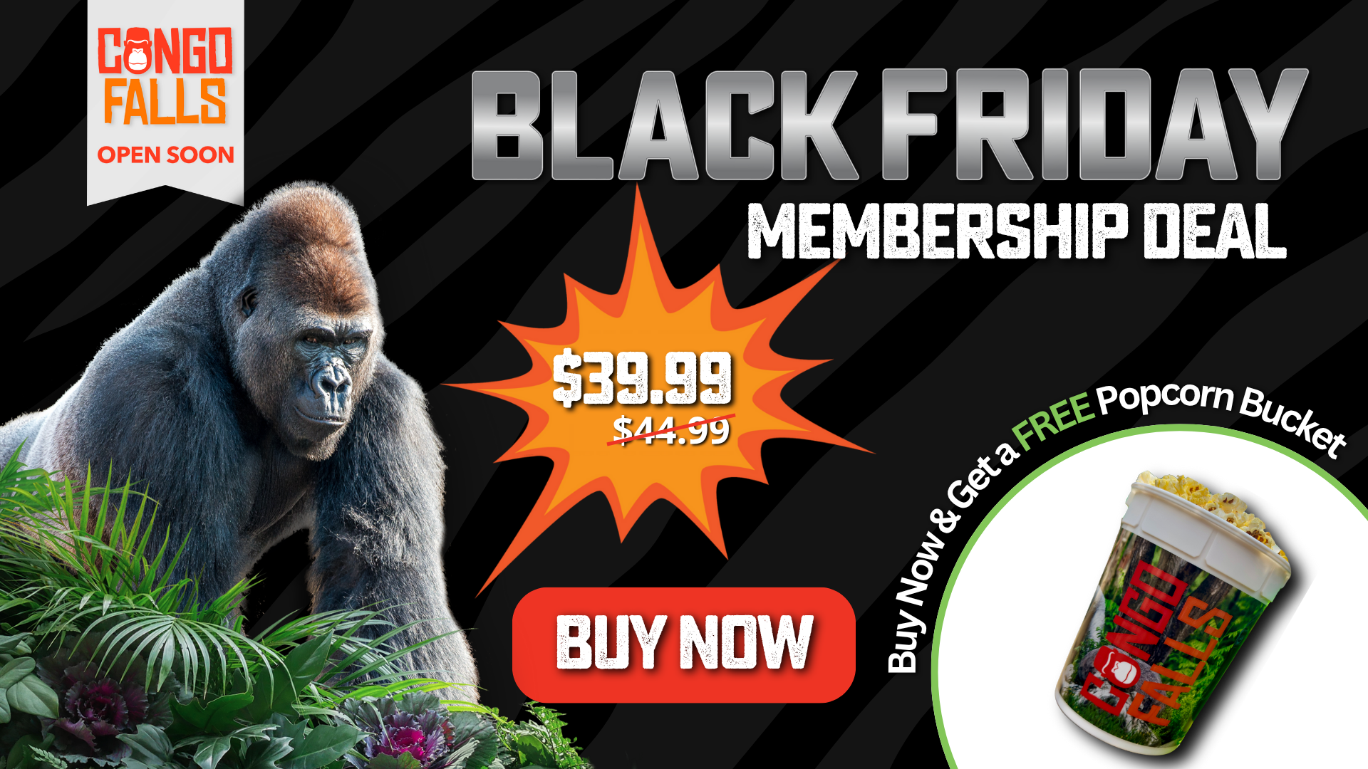 Black Friday membership deal at San Antonio Zoo featuring gorilla and free Congo Falls popcorn bucket