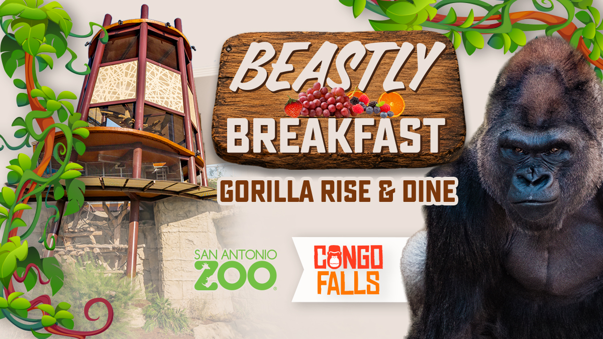 Beastly Breakfast: Gorilla Rise & Dine