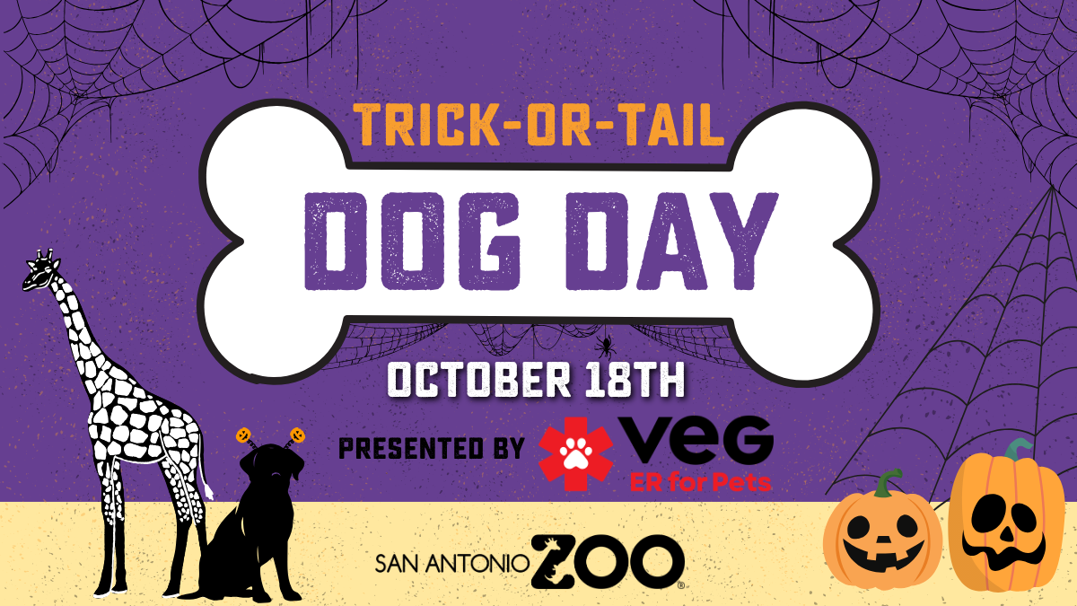 Trick-or-Tail Dog Day