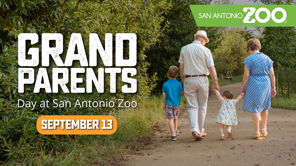 Grandparents Day 