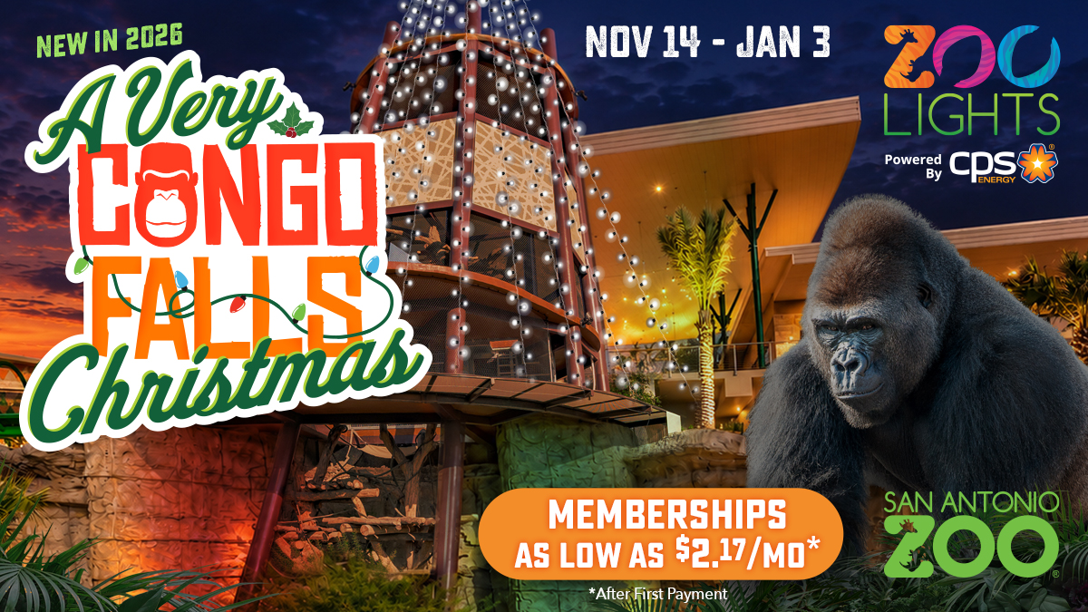 Zoo Lights! powered by CPS Energy