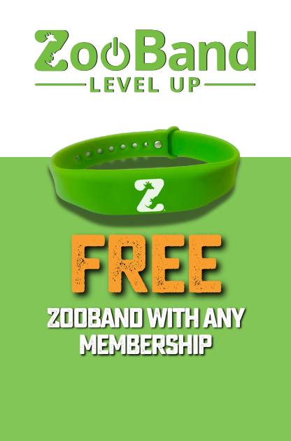 Green ZooBand wristband with text offering a free ZooBand with any San Antonio Zoo membership