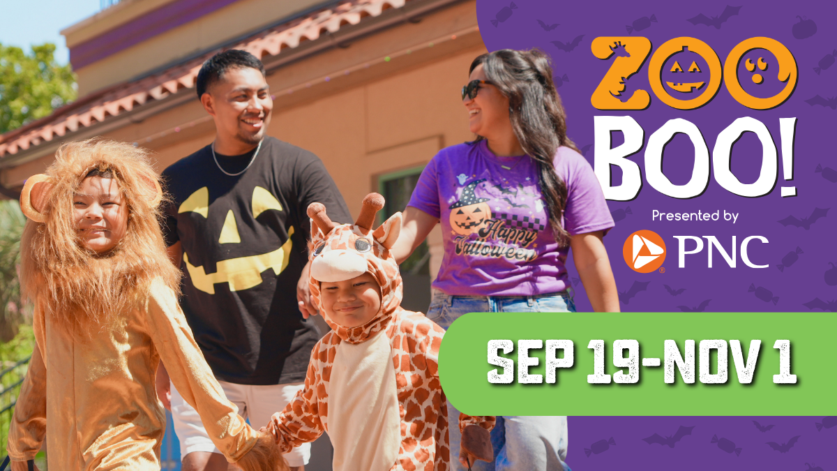 ZOO BOO! presented by PNC at San Antonio Zoo, September 19 through November 1