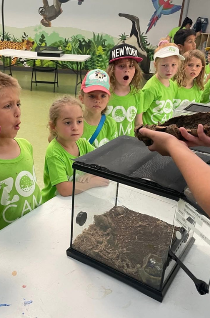 Children at San Antonio Zoo camp watch an animal demonstration with a terrarium and hands-on learning