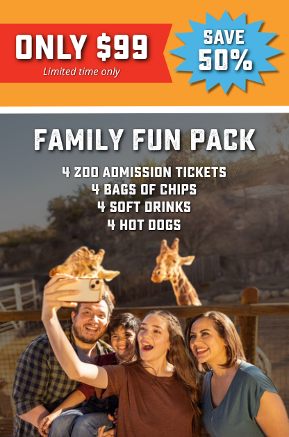 Family taking a selfie at San Antonio Zoo with giraffes, promoting $99 family fun pack with tickets, food, and drinks